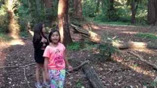 Bigfoot Hunting in the Santa Cruz Mountains