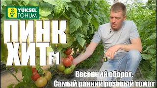 Пинк Хит F1. Весенний оборот. РАННЕСПЕЛОСТЬ!