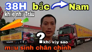 38H chạy Bắc Nam Đầu kéo Howo Max-Sức khỏe Trâu bò cuộc sống mưu sinh chân chính Tại Việt Nam