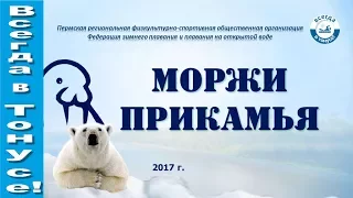 Моржи Прикамья. Презентация. Зимнее плавание