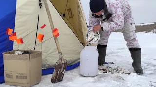 ТОЛЬКО УСПЕВАЙ ВЫНОСИТЬ ВЕДРА С РЫБОЙ! Палаточная рыбалка ! Рыбалка зима 2022!