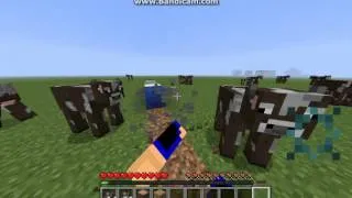 Minecraft mod showcase:Kenshiro mod 1.6.2