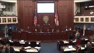 'Don't Say Gay' bill passes Florida Senate