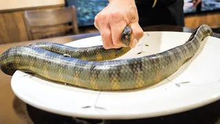 Sea snake soup−Japanese street food
