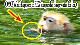 REX nearly drown when mom Rose learn swimming in deep water