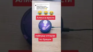 Алиса в ярости 😱 лучшие приколы 2021 / яндекс Алиса жгёт