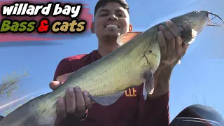 Bass and Catfishing Willard bay Utah :fishing fishing tips
