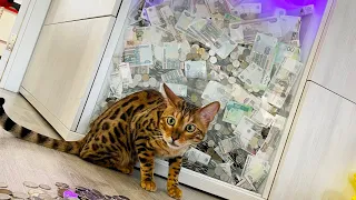 Money BOX.  Копилка в прихожей. Очень полезная деталь 😁