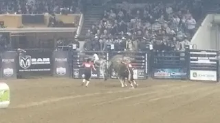 National Western Stock Show 2020 pro rodeo finals. Denver Colorado