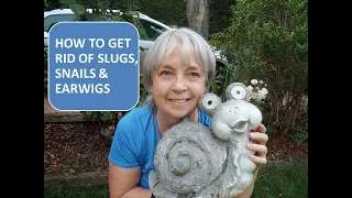 HOW TO GET RID OF SLUGS, SNAILS AND EARWIGS