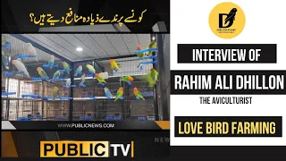 Love Bird Farming As A Business. Interview Of Rahim Ali Dhillon On Public News !