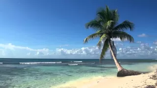 ♥♥ Relaxing 3 Hour Video of Tropical Beach with Blue Sky White Sand and Palm Tree