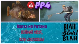 Озеро Комариное • Как поймать Ротана новичку? • На донки • Русская рыбалка 4