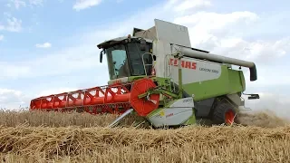 Żniwa z Claas ą 2018: CLAAS LEXION 580 + V900 – godny następca serii 400