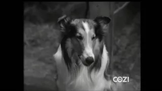 Lassie - Episode 124 - "The Greyhound" - Season 4, #21 (1/26/1958)
