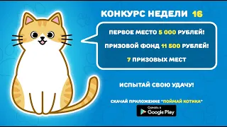 Приложение "Поймай котика". Запись конкурса недели №16| Заработок в интернете без вложений.