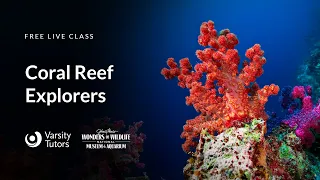 Varsity Tutors' StarCourse - Coral Reef Explorers with Wonders of Wildlife