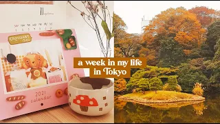 A week in my life in Tokyo | Autumn Picnic with @rainbowholicTV & @omunomu