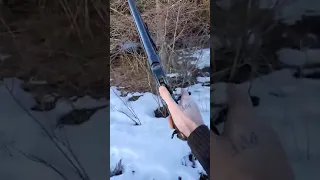 Winchester 1887 (Dominion arms Chinese copy) 12 gauge flip cock Terminator  style.