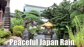 ASMR Japan Temple Rain Peaceful Moments 2023.09.08 Ambience Sound Sleep Meditate Relax Tokyo Suburb