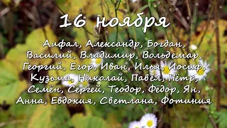 16 ноября – именины сегодня отмечают