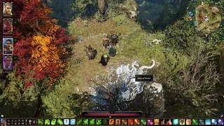 Divinity 2 Trial of all Seasons Riddle