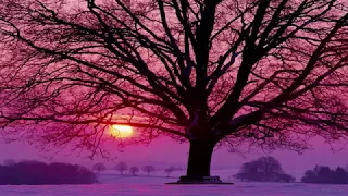 Richard Clayderman   Love song in winter Winter Sonata