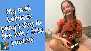 My mini Lemieux pony’s day in the life /night routine ￼