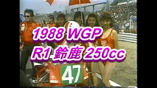 1988年 WGP R1 鈴鹿 250cc