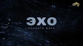 ЭХО КОННОГО МИРА. 16 июня 2021 года. 17:00