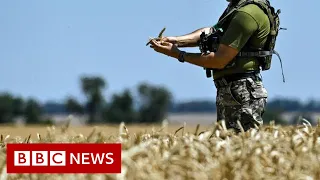 Why does the world need grain to be shipped from Ukraine? - BBC News