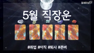 [타로운세] 5월 직장운 타로🍀 (취직운, 이직운, 퇴사운까지!)