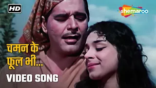 चमन के फूल भी तुझको गुलाब | Chaman Ke Phul Bhi Tujhako Gulaab | Shikari (1963) | Lata Mangeshkar