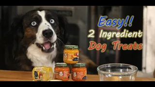 EASY,  TWO (2) INGREDIENT,  HOMEMADE DOG TREATS