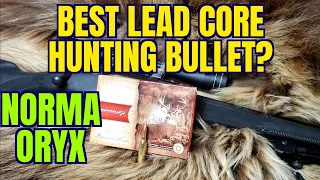 A Great Hunting Bullet! Norma Oryx 6.5-284