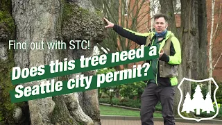 Does your tree removal require a Seattle city permit? -UPDATED VIDEO COMING SOON!
