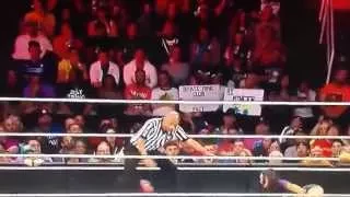 WWE Raw 3/30/15 6 tag The Bella's And Natalia VS Paige AJ Lee And Naomi