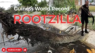 Blocked Drain 424 - 2023 Guinness World Record ROOOT Extraction (Contender)