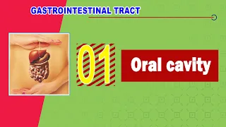 01. Oral cavity