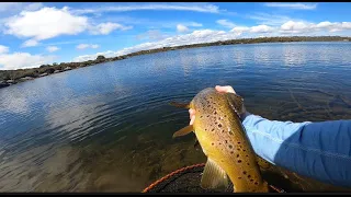 Tasmania -  fishing for Australia's largest trout