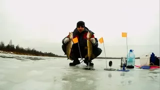 За щукой на лесное озеро.Рыбалка на жерлицы 2017-2018.