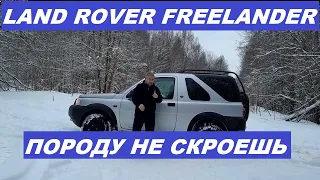 Land Rover Freelander Большой обзор #landrover #landroverfreelander #landroveroffroad