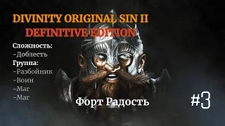 Прохождение Divinity: Original Sin II[DE]. Доблесть. Разбойник, Воин, Маг, Маг. #3