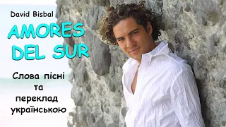 David Bisbal - Amores Del Sur  (переклад українською)