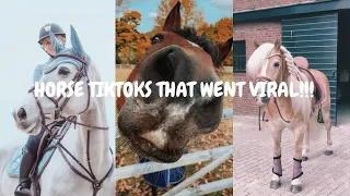 HORSE TIKTOKS THAT WENT VIRAL!!!