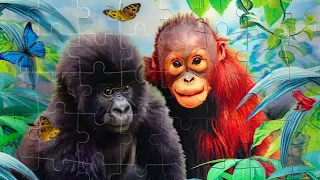 3D King Kong and Monkey friendship jigsaw puzzle | Smile Puzzle