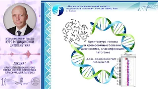 И.Н. Лебедев - Курс медицинской цитогенетики. Лекция1