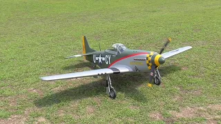 Top RC P-51 Gunfighter