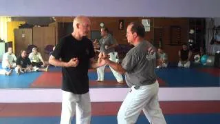 Kimo Wall Sensei Demonstrates Gekisai Sho Bunkai