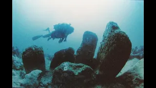 Submerged 9,000 Y. O. Atlit Yam & 17 Other Underwater Nearby Sites